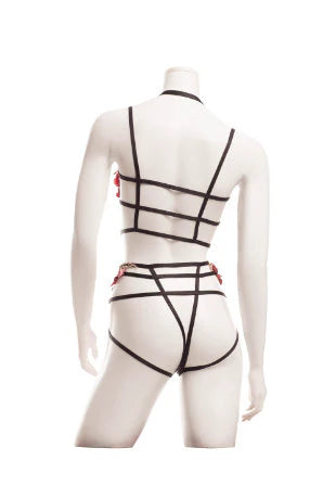 AB8082PB Raveware Lingerie Ambrosia Criss-cross Applique Cupless Bra and Crotchless Panty Set