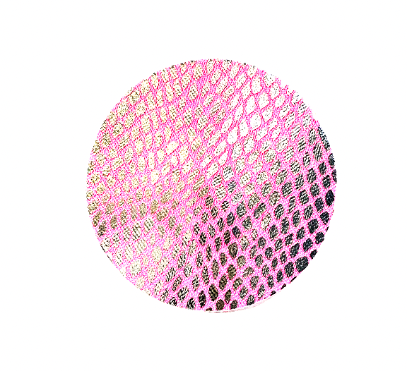 PG204 Disposable Adhesive Nipples Covers Pink snake