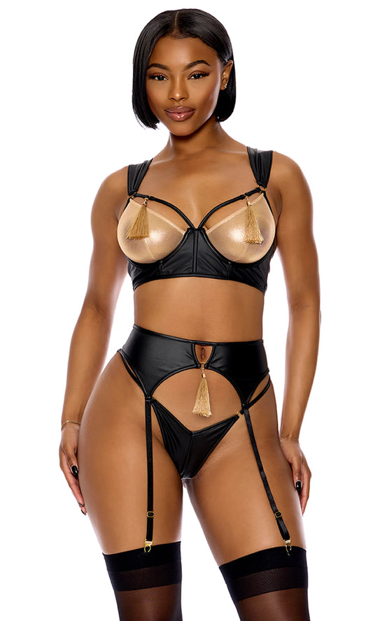 774541 Show Stopper Metallic Mesh Bra and Garter Belt Lingerie Set