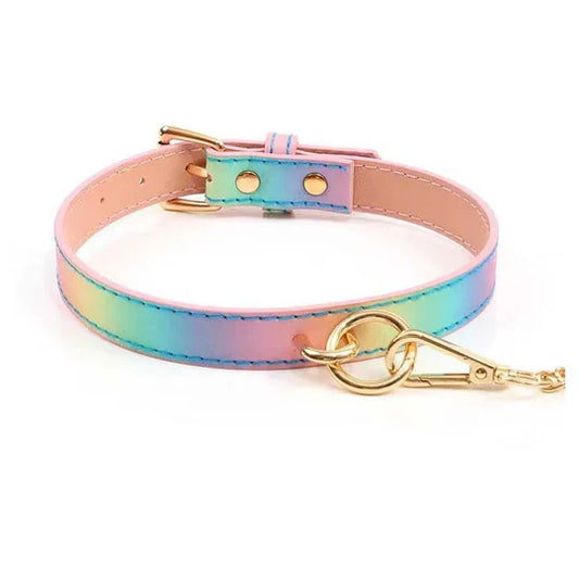 Hello, Sexy! Hot Bitch Collar With Leash-Rainbow